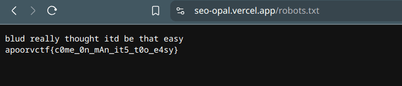 Fake robots.txt flag