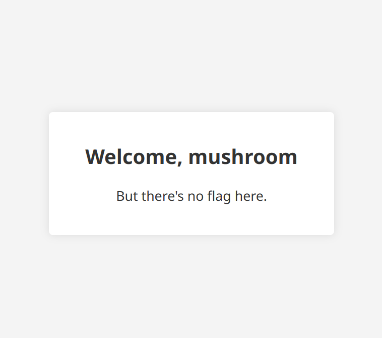 JWT Hunt Welcome